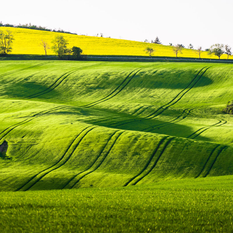 Meet the Team Rainbow Day Nurseries